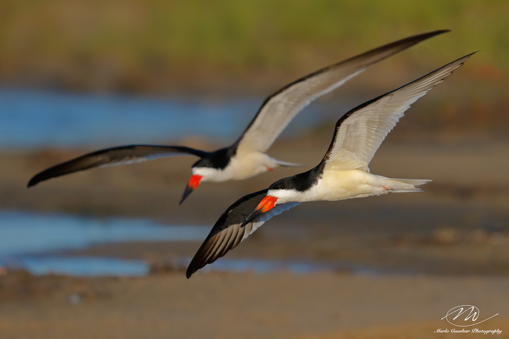 Stacks Image 9